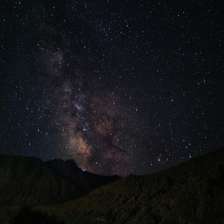 Nubra Holiday Deskit Dış mekan fotoğraf