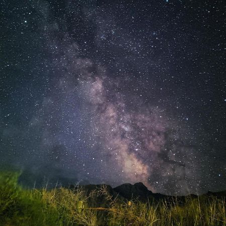 Nubra Holiday Deskit Dış mekan fotoğraf